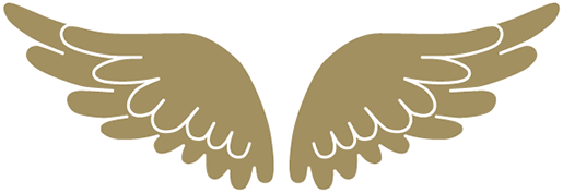 VMVB Financial Services GmbH